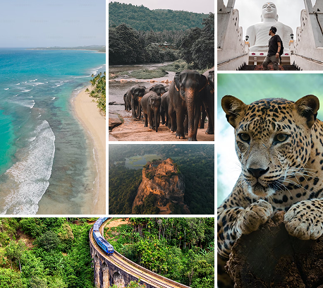 Mr. Jestus Sibera, CEO of Royal Travellers